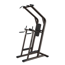 單雙杠及提腿腹肌組合練習(xí)器