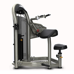 三頭肌伸展訓練機