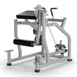 反向背部伸展訓(xùn)練器